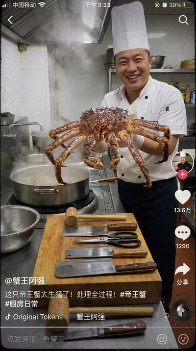 Fake TikTok Screenshot generated by AIGH AI Graphics Hub